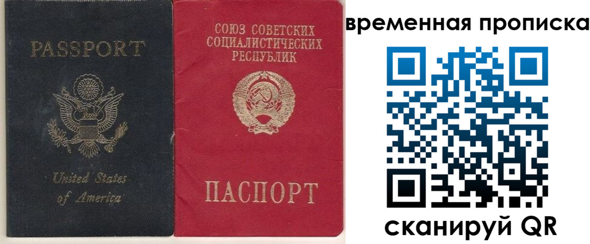 прописка для школы в Камышине